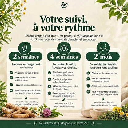 Drainant Lymphatique CD